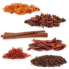 Image showing Spice Selection