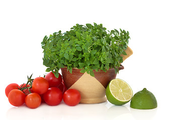 Image showing Basil Herb, Tomatoes and Lime Halves