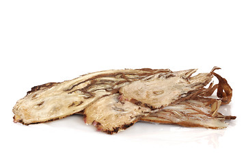 Image showing Angelica Herb Root