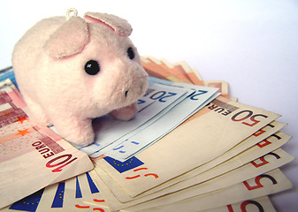 Image showing Pig with money