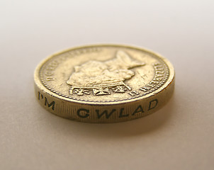 Image showing Pounds