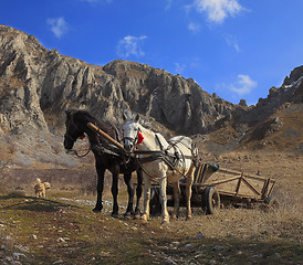 Image showing Horses and mountains