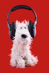 Image showing cute white toy dog in headphones