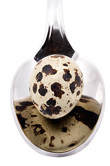 Image showing quail egg in the spoon