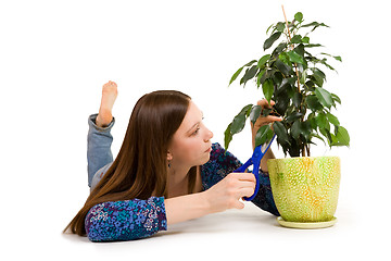 Image showing Woman cuttion plant with blue scissors