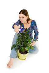 Image showing Woman cutting plant with blue scissors