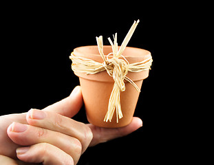 Image showing Mini Terracotta Pot