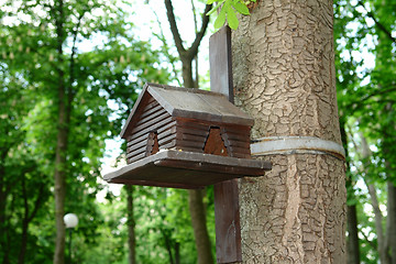 Image showing birdhouse