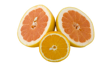 Image showing grop of halfs of grapefruit and orange