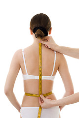 Image showing Measuring woman's back