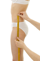 Image showing Measuring woman's hips size