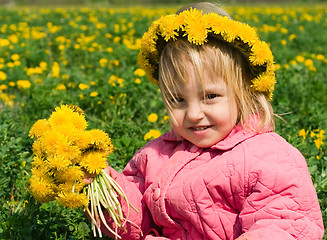 Image showing Girl and dandelion