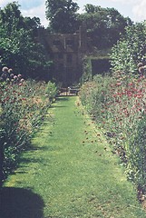 Image showing Up the Garden Path