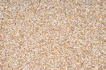 Image showing Wheat small background