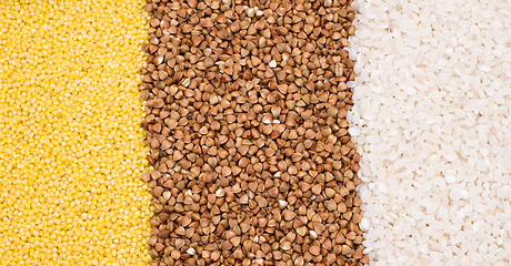 Image showing Millet, buckwheat, rice background