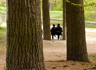 Image showing Loving couple on a bench