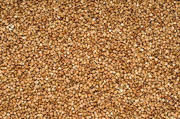 Image showing Buckwheat background