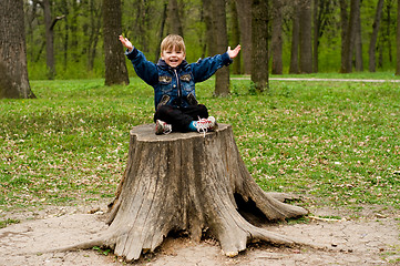 Image showing Little boy in wood