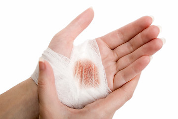 Image showing Bandage