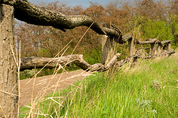 Image showing Old wooden fence