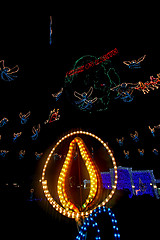 Image showing The Osborne Family Spectacle of Dancing Lights