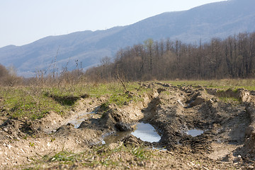 Image showing Dirt forest road with big puddles