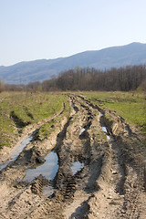 Image showing Dirt forest road with big puddles