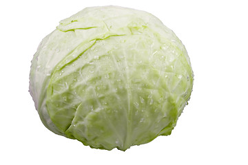 Image showing cabbage(clipping path included)