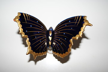 Image showing Butterfly