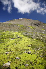 Image showing Unspoiled mountain side