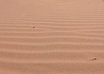 Image showing Sand waves