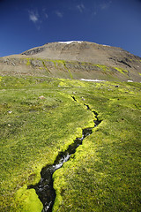 Image showing mountain spring