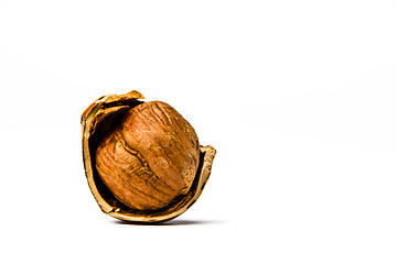 Image showing Hazelnut on a white background