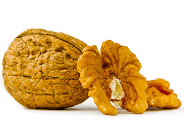 Image showing Walnuts on a white background