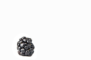 Image showing A black berry on a white background