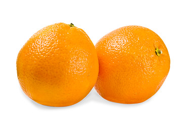 Image showing Oranges on a white background