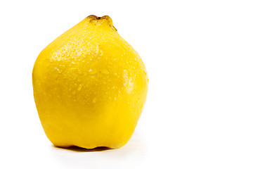 Image showing Quince on a white background