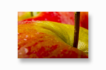 Image showing Apples on a white background