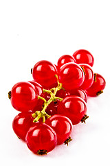 Image showing Red currants on white background