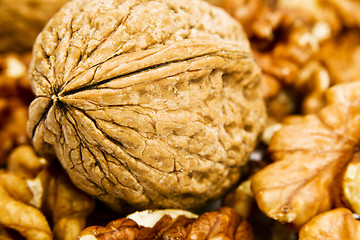 Image showing Walnuts on a white background