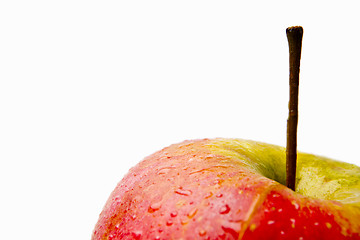 Image showing Apple on a white background