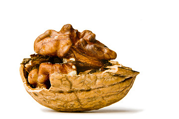 Image showing Walnuts on a white background