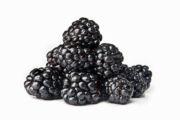 Image showing Black berries on white background