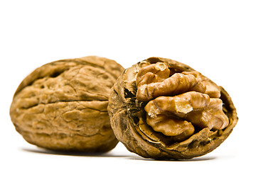 Image showing Walnuts on a white background