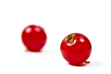 Image showing Red currant on white background