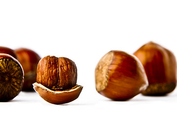 Image showing Hazelnuts on a white background