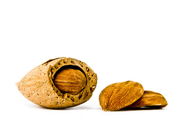 Image showing Almonds on a white background