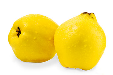 Image showing Quinces on a white background
