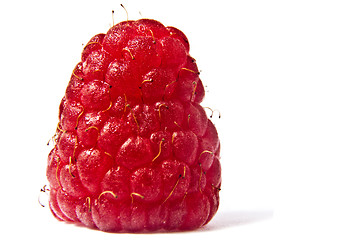 Image showing Raspberries on a white background