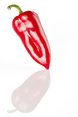 Image showing Red pepper on a white background